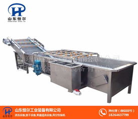山東恒爾 專業(yè)辣椒氣泡清洗機(jī)廠家與機(jī)械電氣設(shè)備銷售服務(wù)